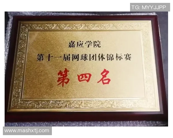 北京网球队心理素质深度对比分析与提升策略探讨